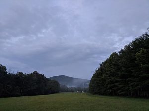 peaceful image of wide green pasture surrounded by trees