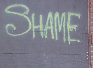 photograph of graffiti reading shame