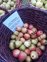 image of apples in a basket