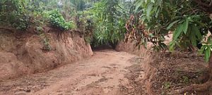 Photo of dirt road cut into the ground.