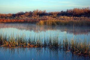 Photograph of the Colorado River from a campsite on its shore.